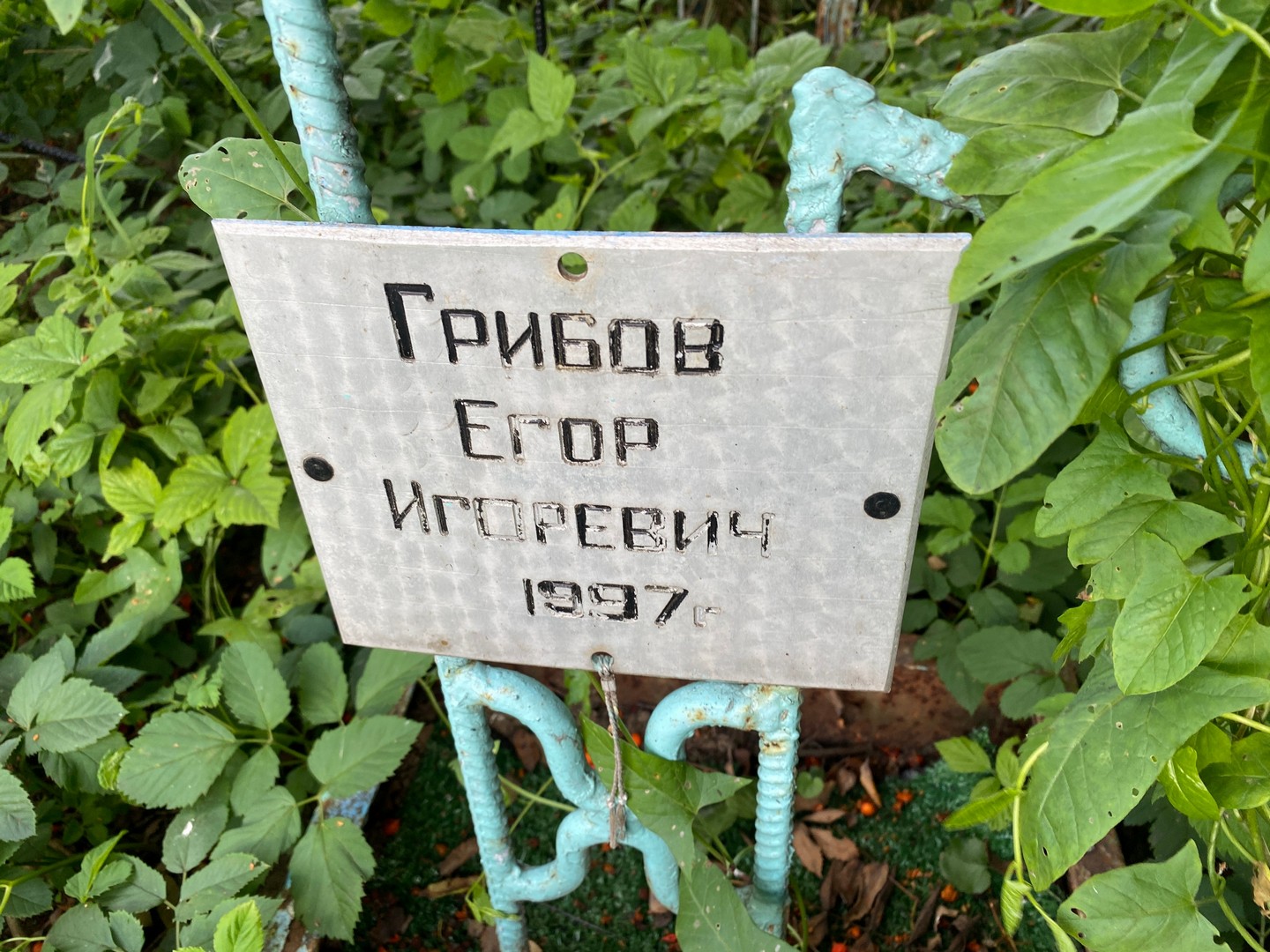 Грибов Егор Игоревич