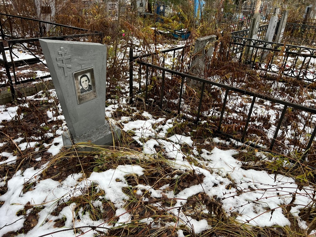 Биржишко Елена Азарьевна
