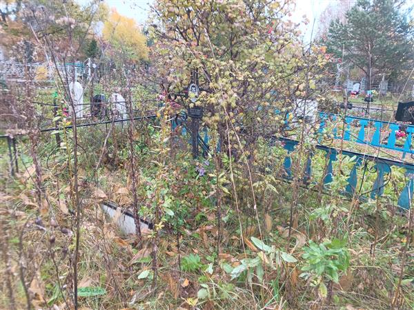 Ильмурзин Николай Геннадьевич