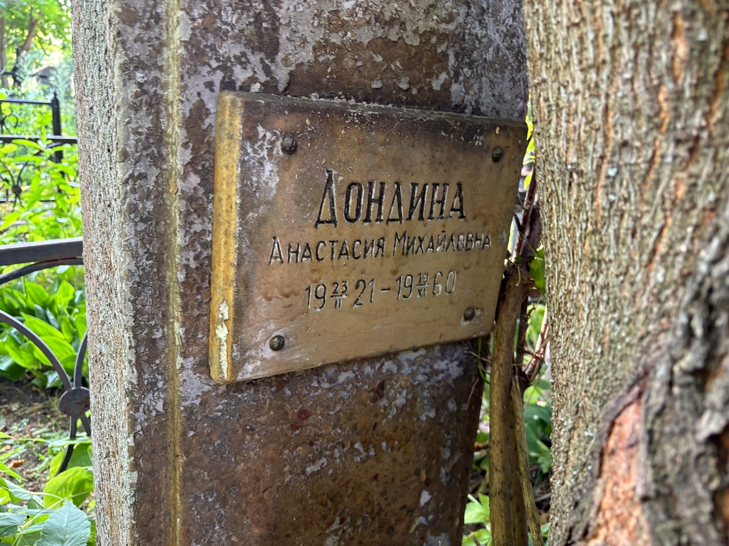 Дондина Анастасия Михайловна
