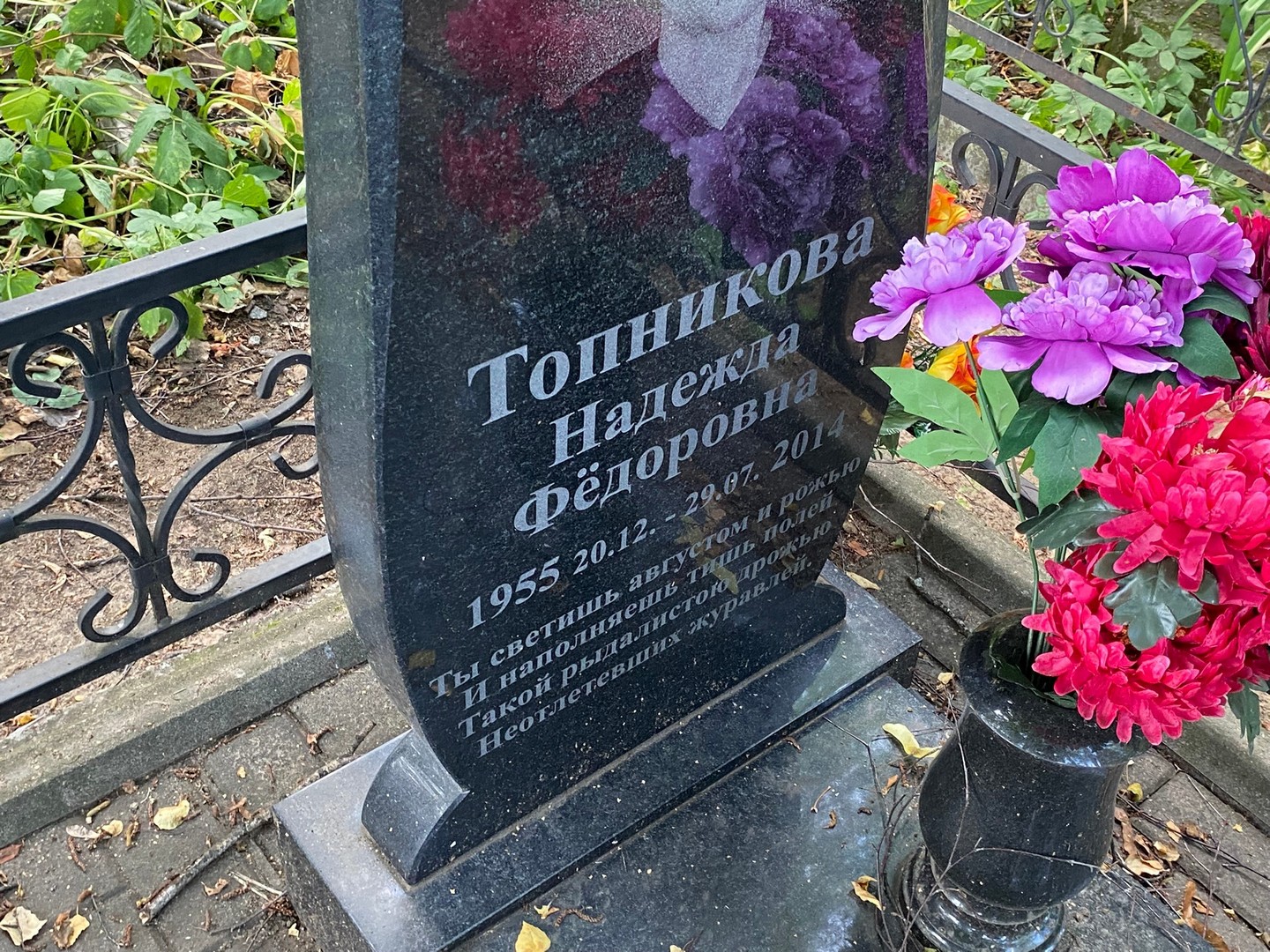 Топникова
