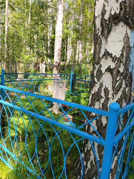 Нарулин Александр Гаптыльевич