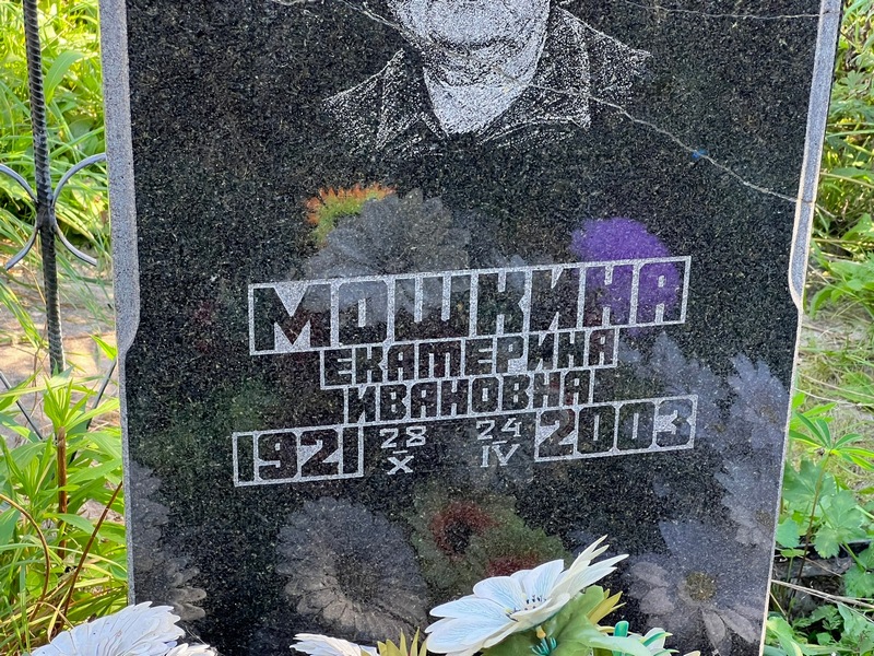 Мошкина