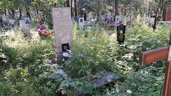 Болдырев Дмитрий Валентинович