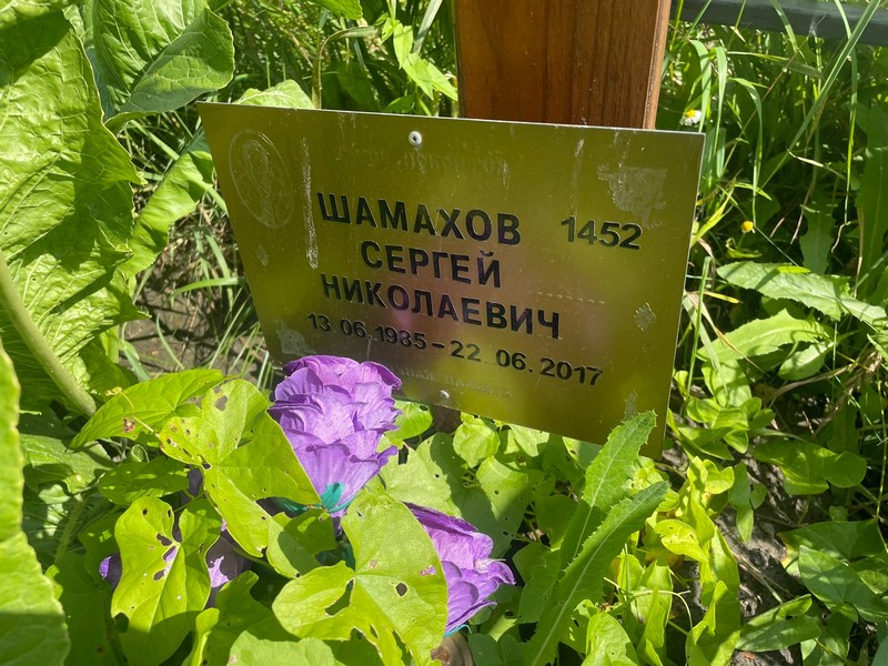 Шамахов