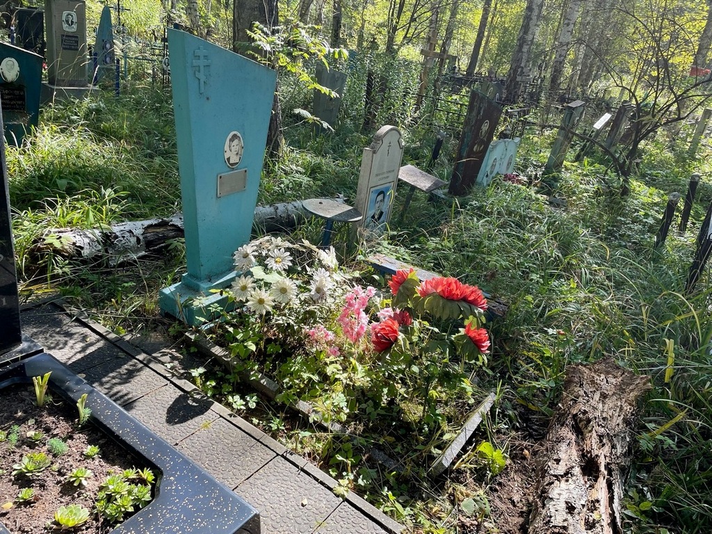 Филипичева Анна Александровна