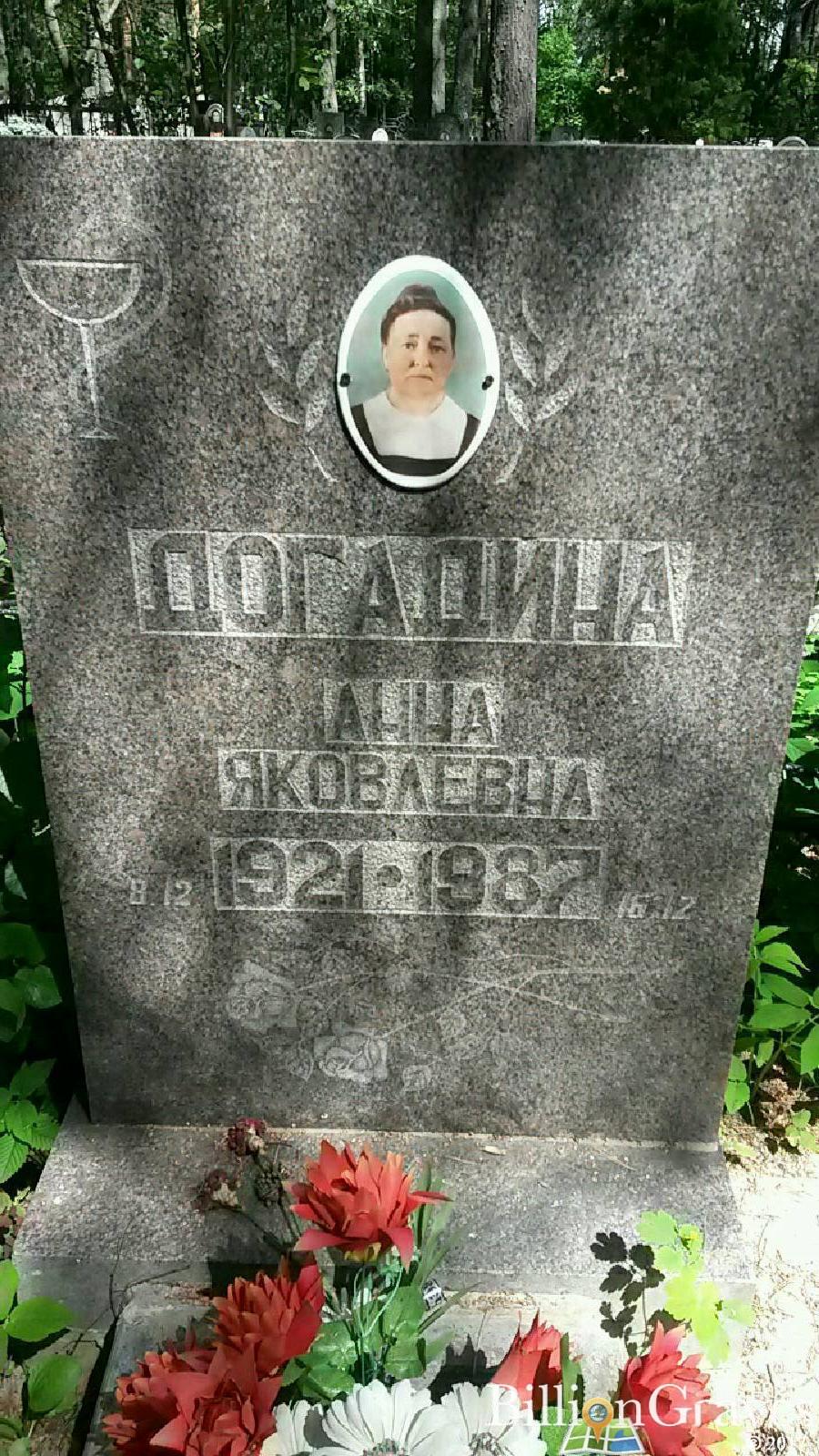 Догадин Александр Михайлович