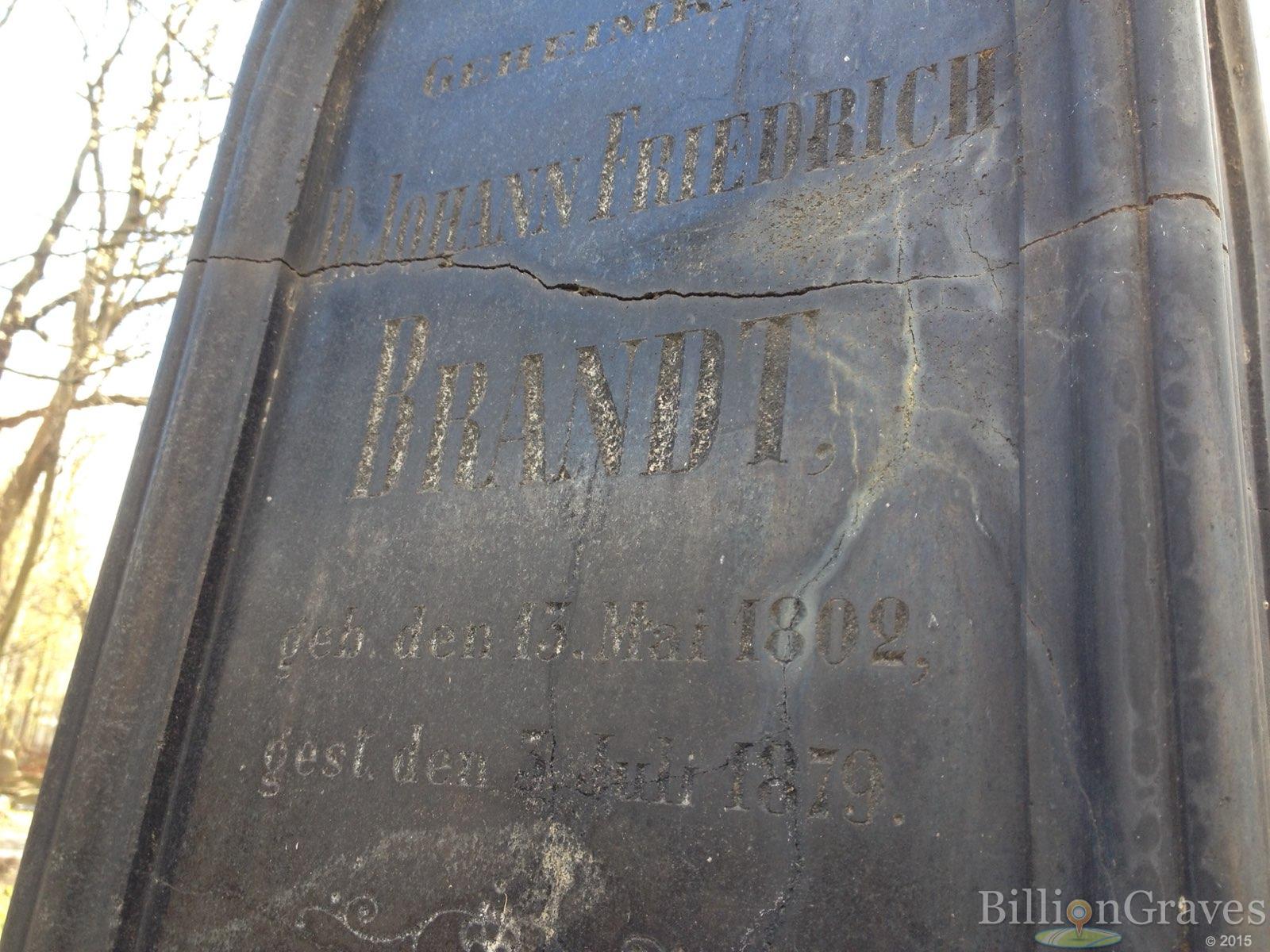 Brandt Auguste Amalie