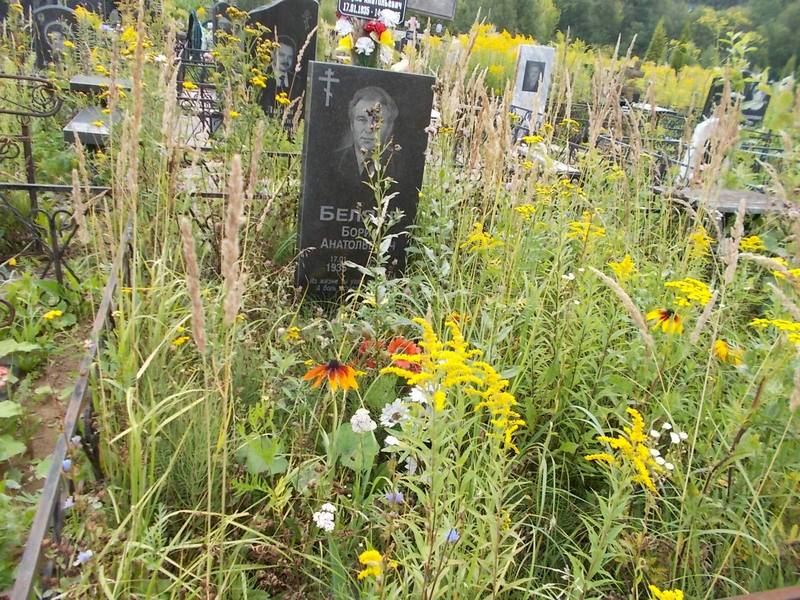 Беляев Борис Анатольевич