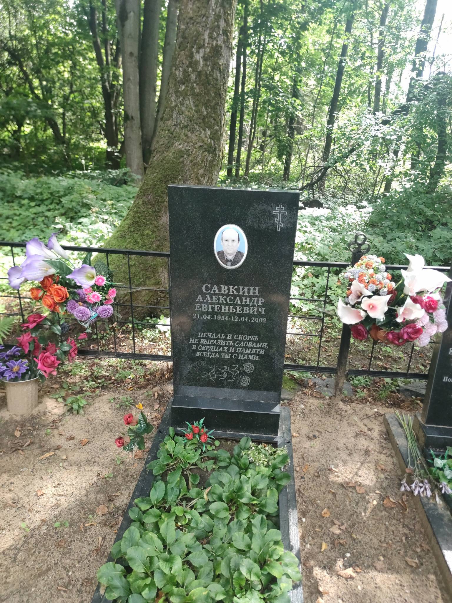 Савкин Александр Евгеньевич