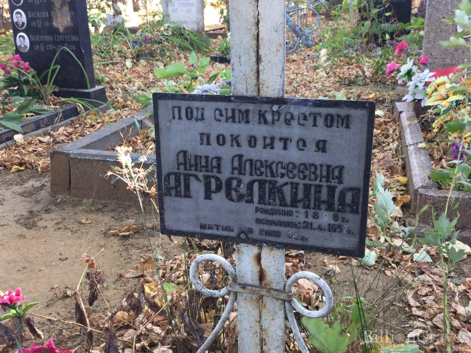 Агрелкина Анна Алексеевна