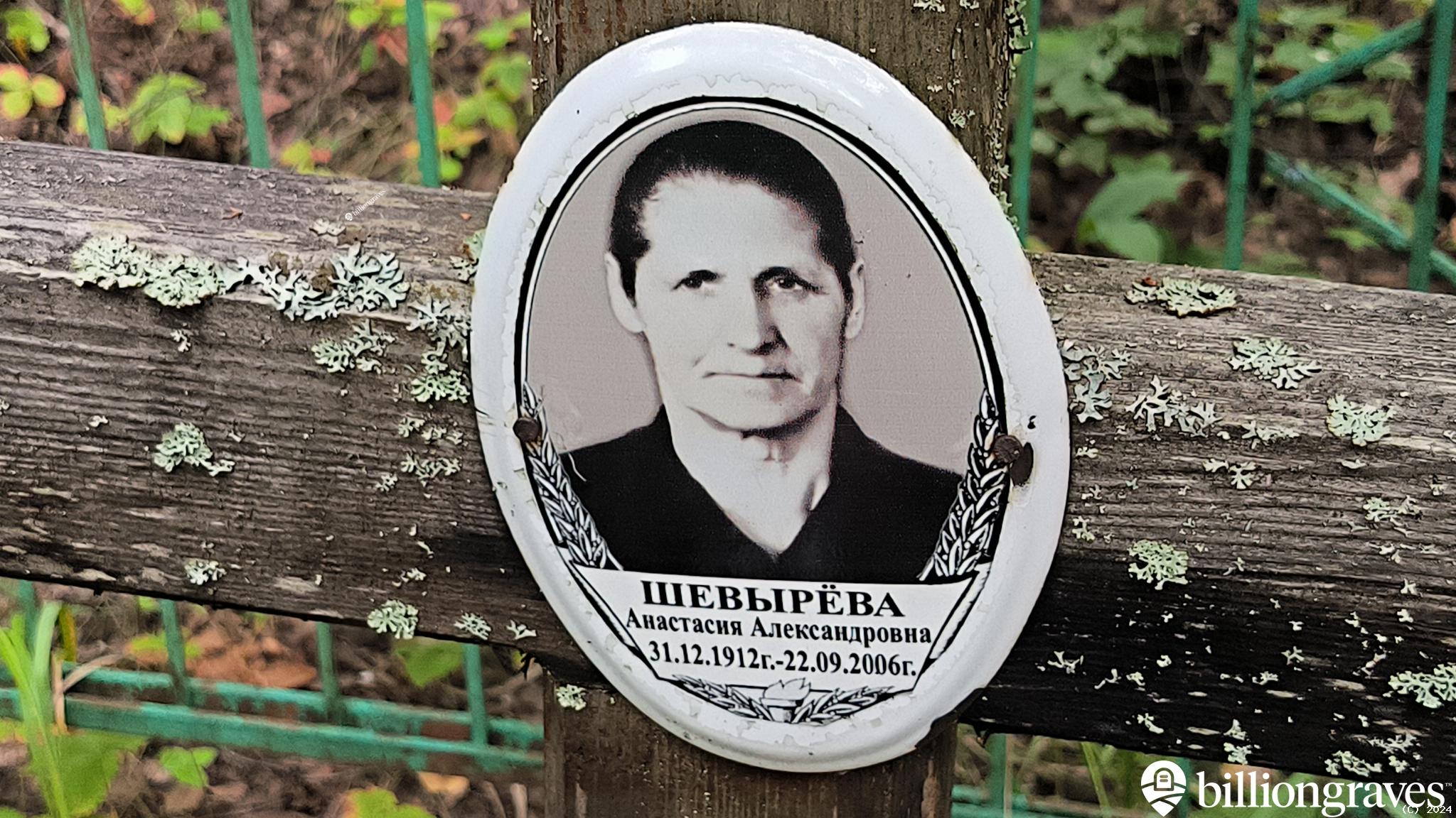 Шевырёва Анастасия Александровна