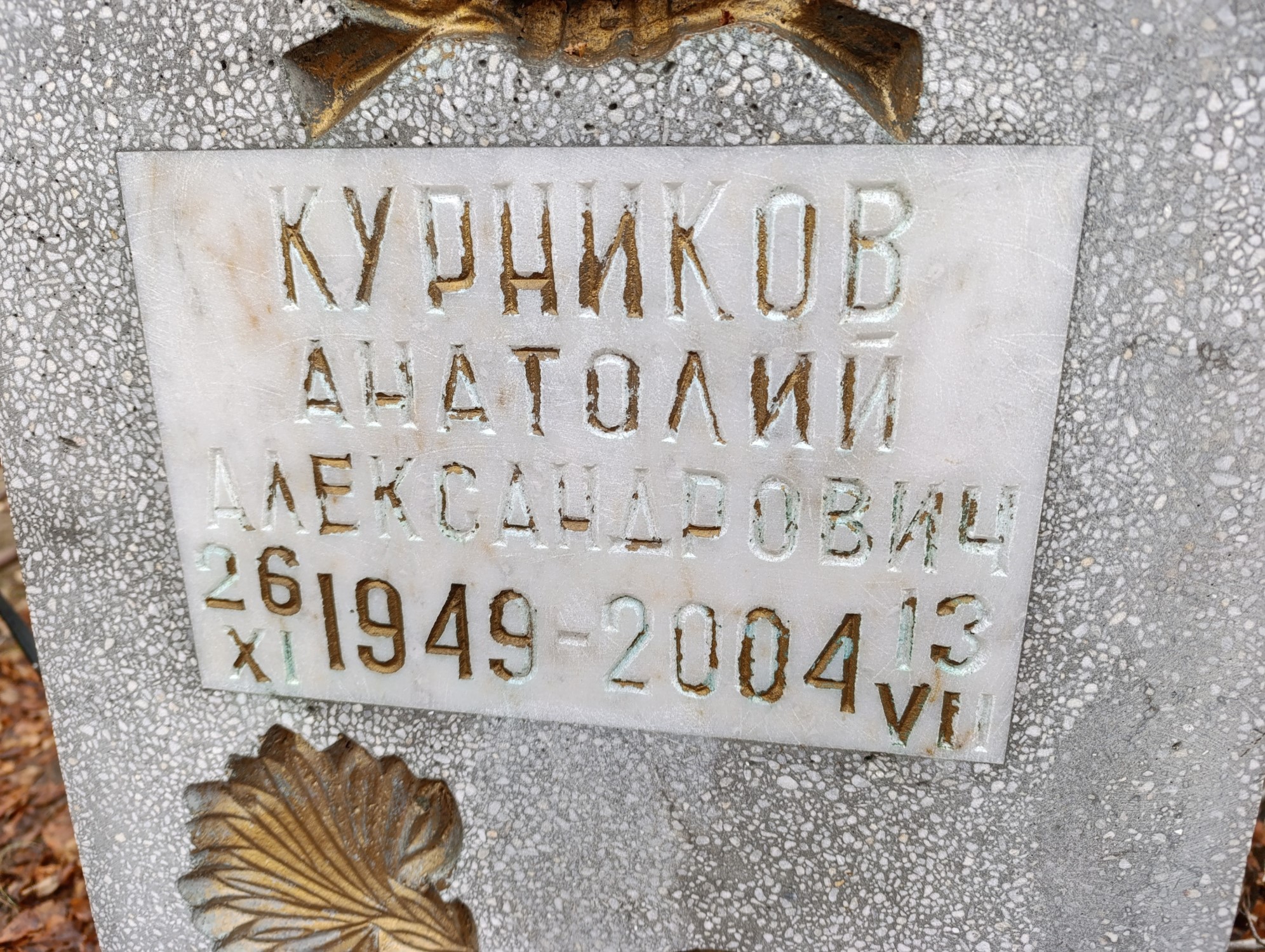 Курников Анатолий Александрович