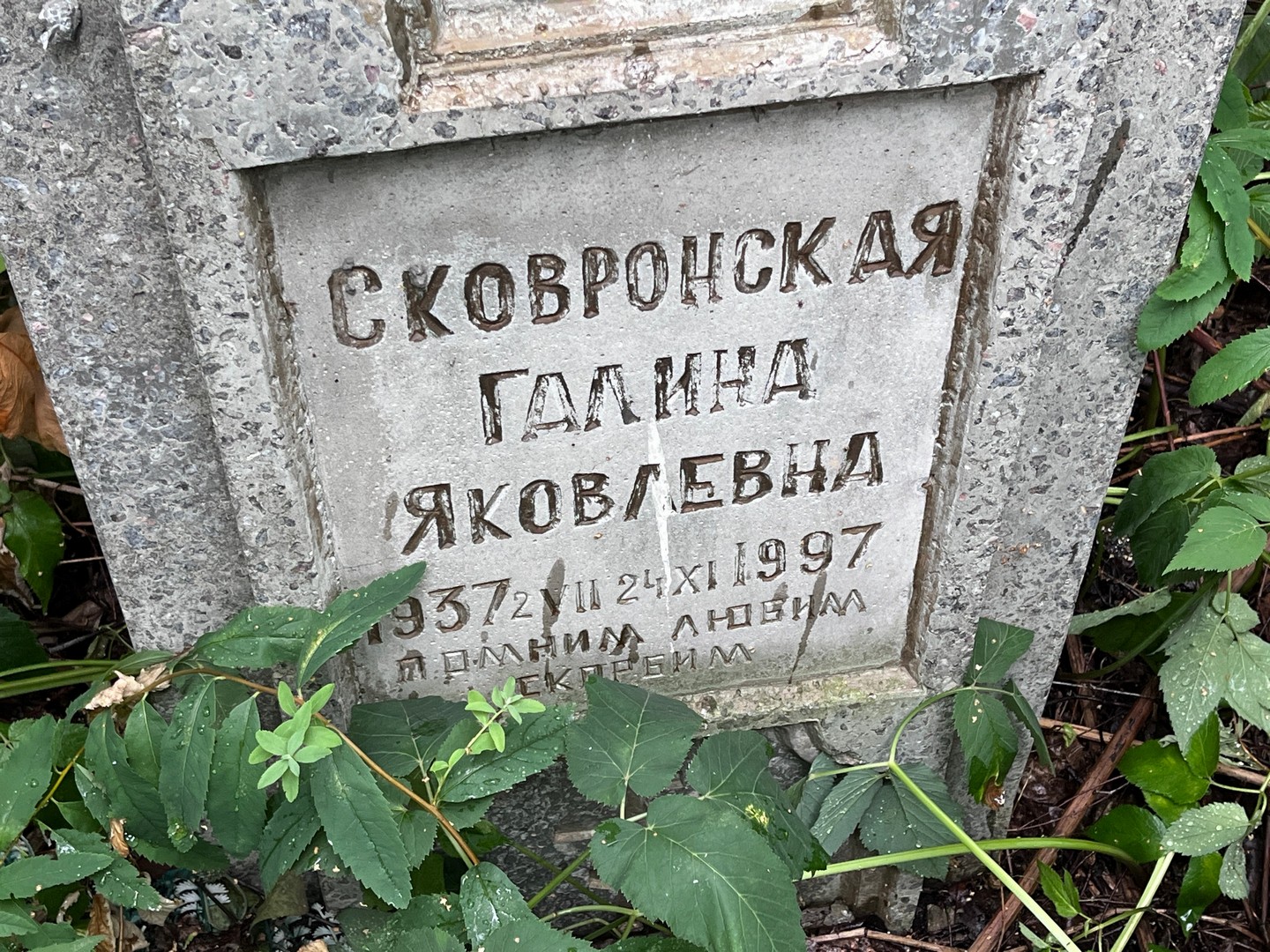 Сковронская