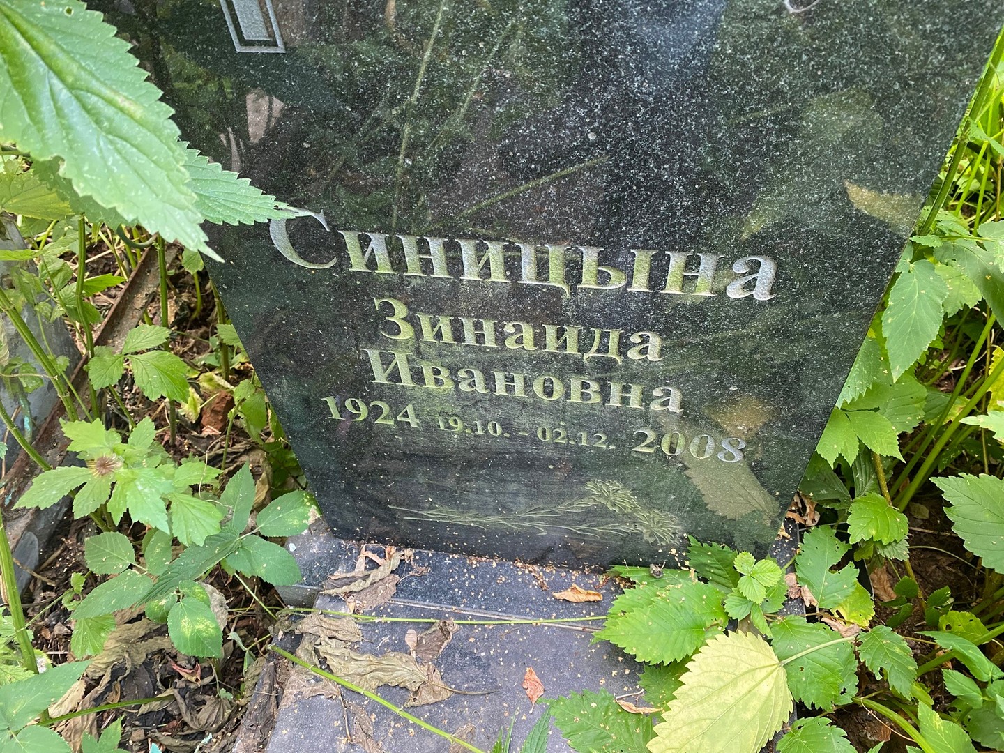 Синицына