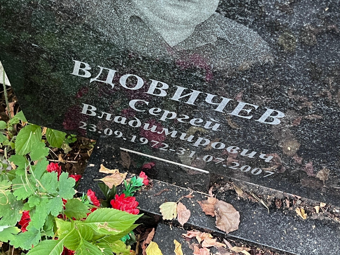 Вдовичев