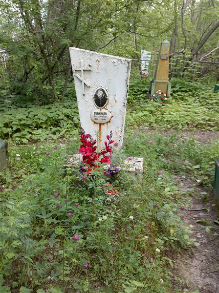 Обвинцев Пётр Дмитриевич