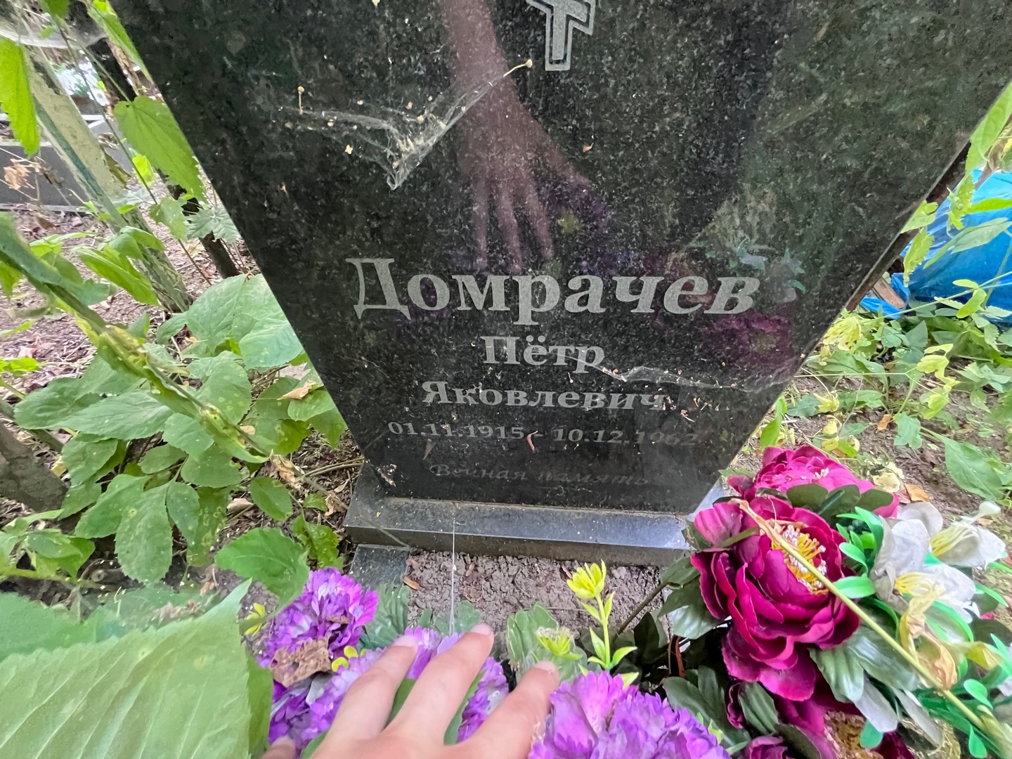 Домрачев