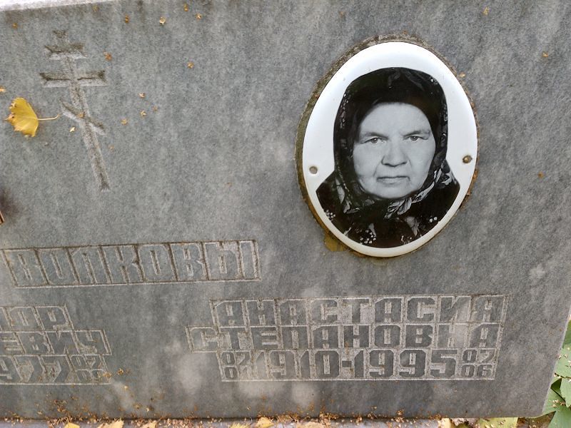 Волкова Анастасия Степановна