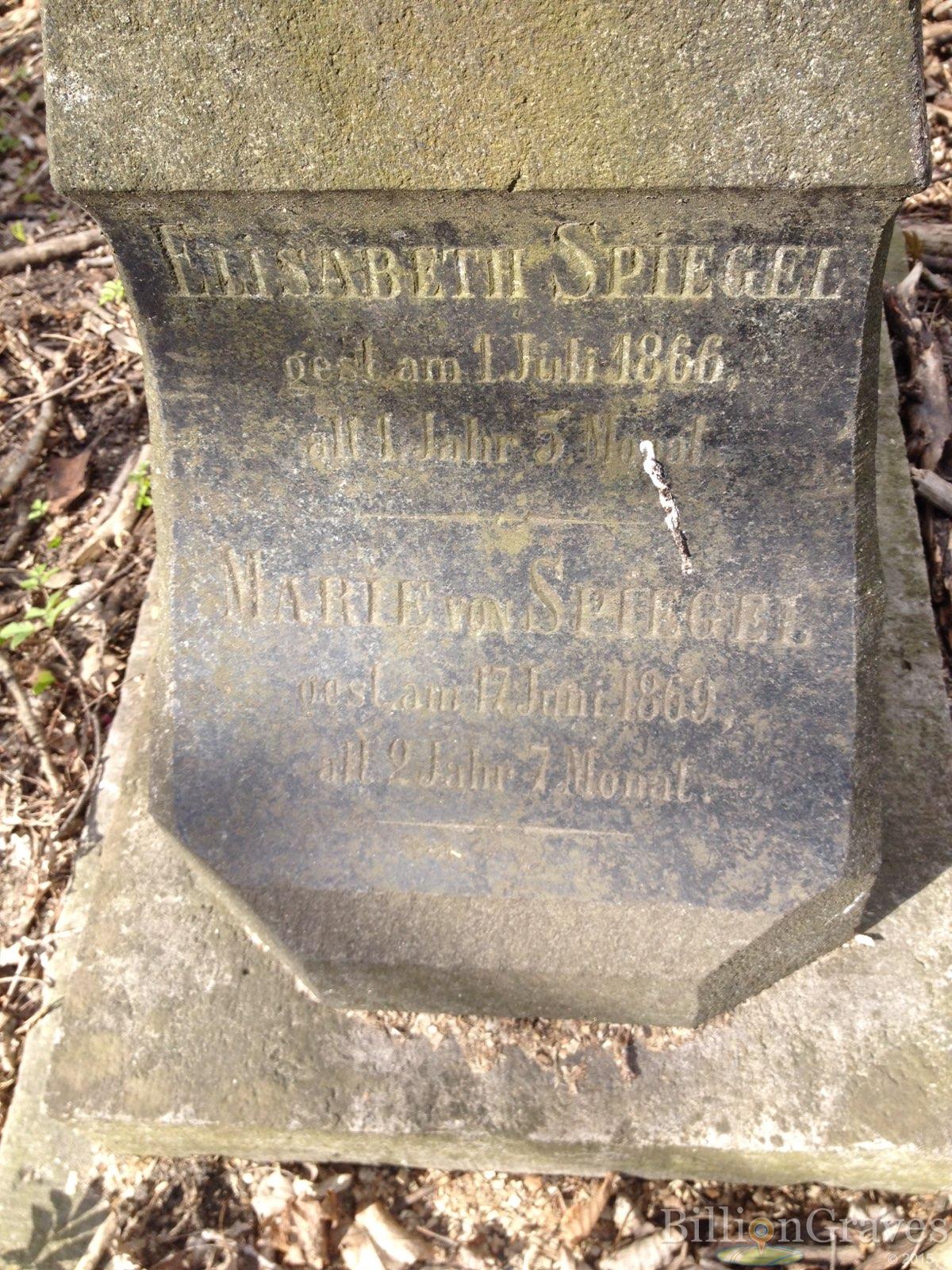 Spiegel Malwine
