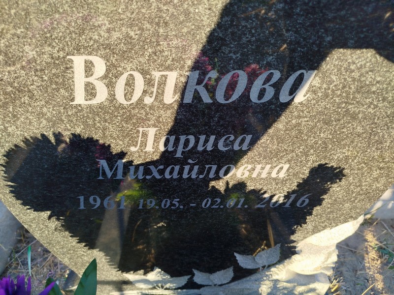 Волкова