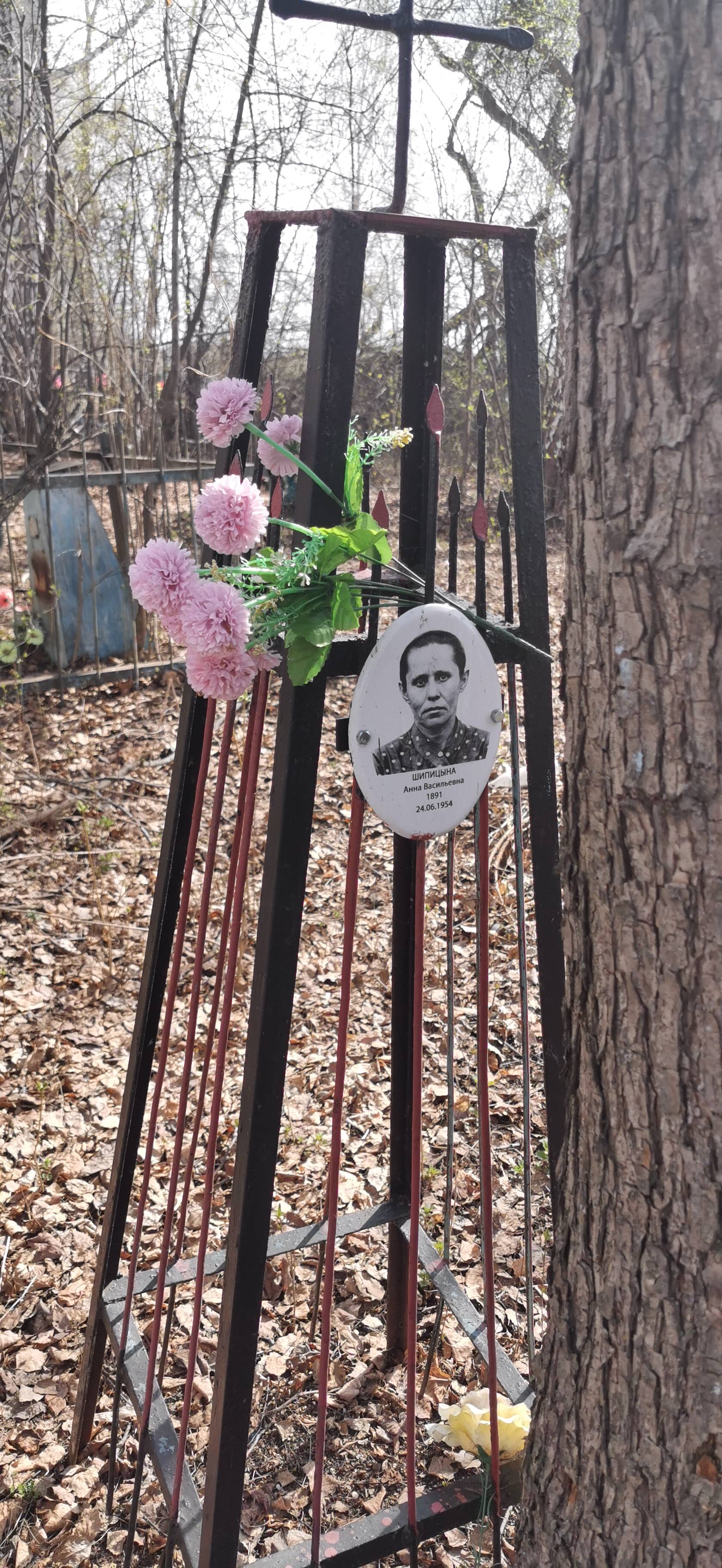 Шипицына Анна Васильевна