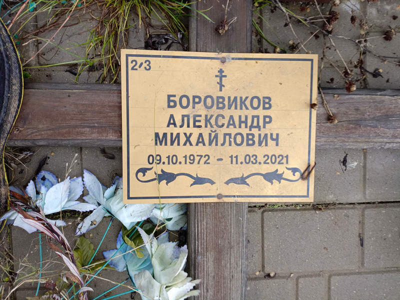 Боровиков