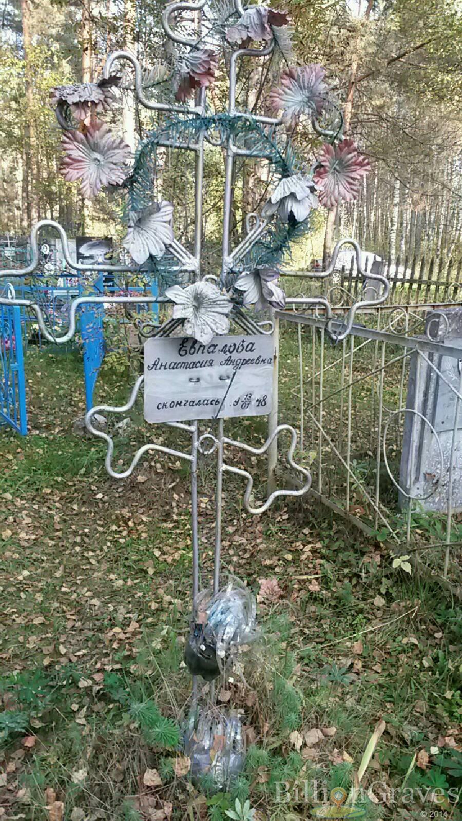 Евпалова Анастасия Андреевна