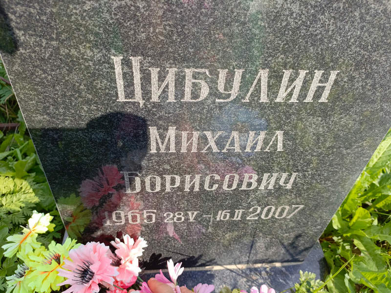 Цибулин