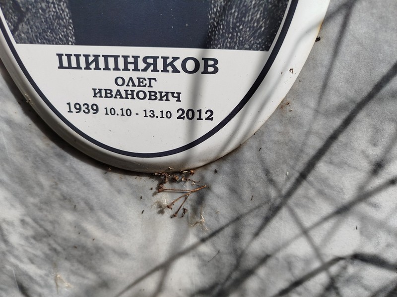 Шипняков