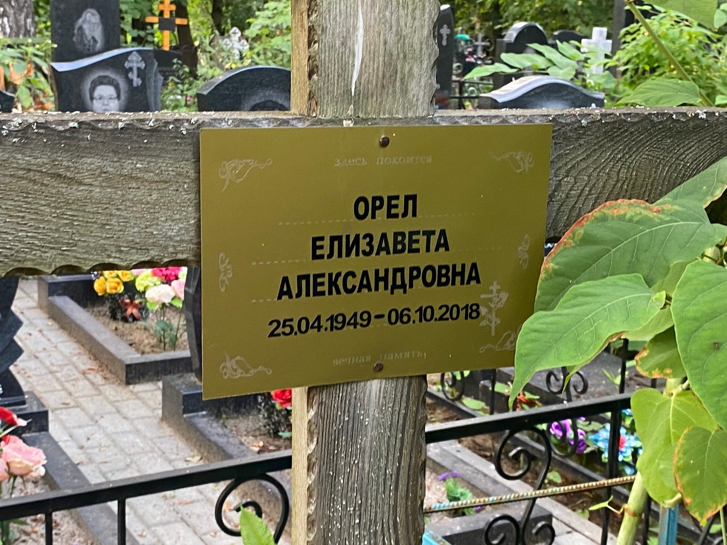 Орел