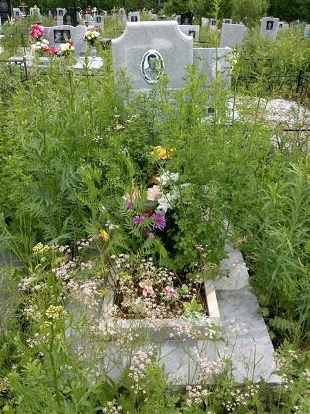Колясников Евгений Алексеевич