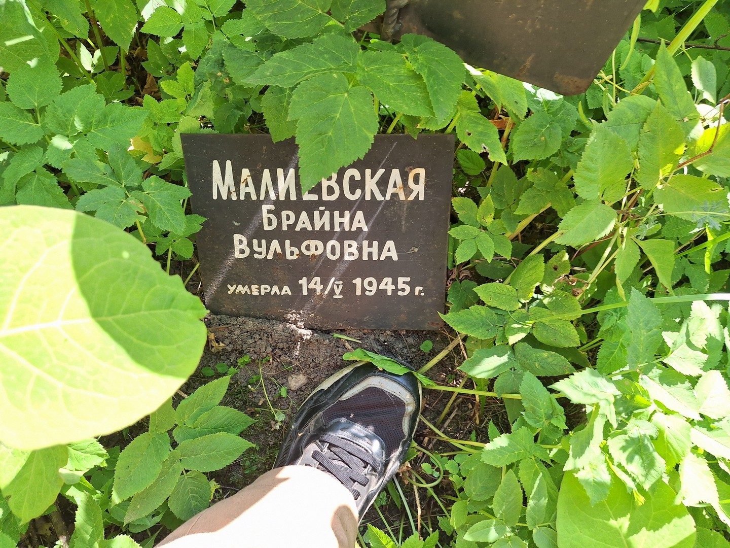 Брайна Малиевская Вульфовна