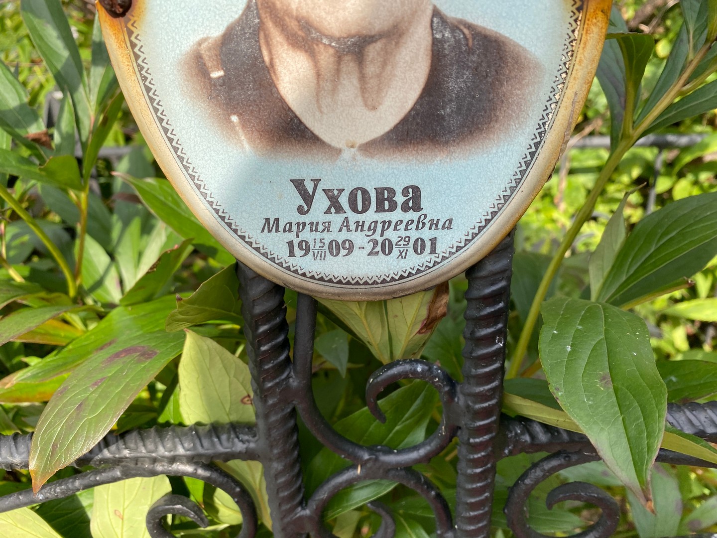 Ухова