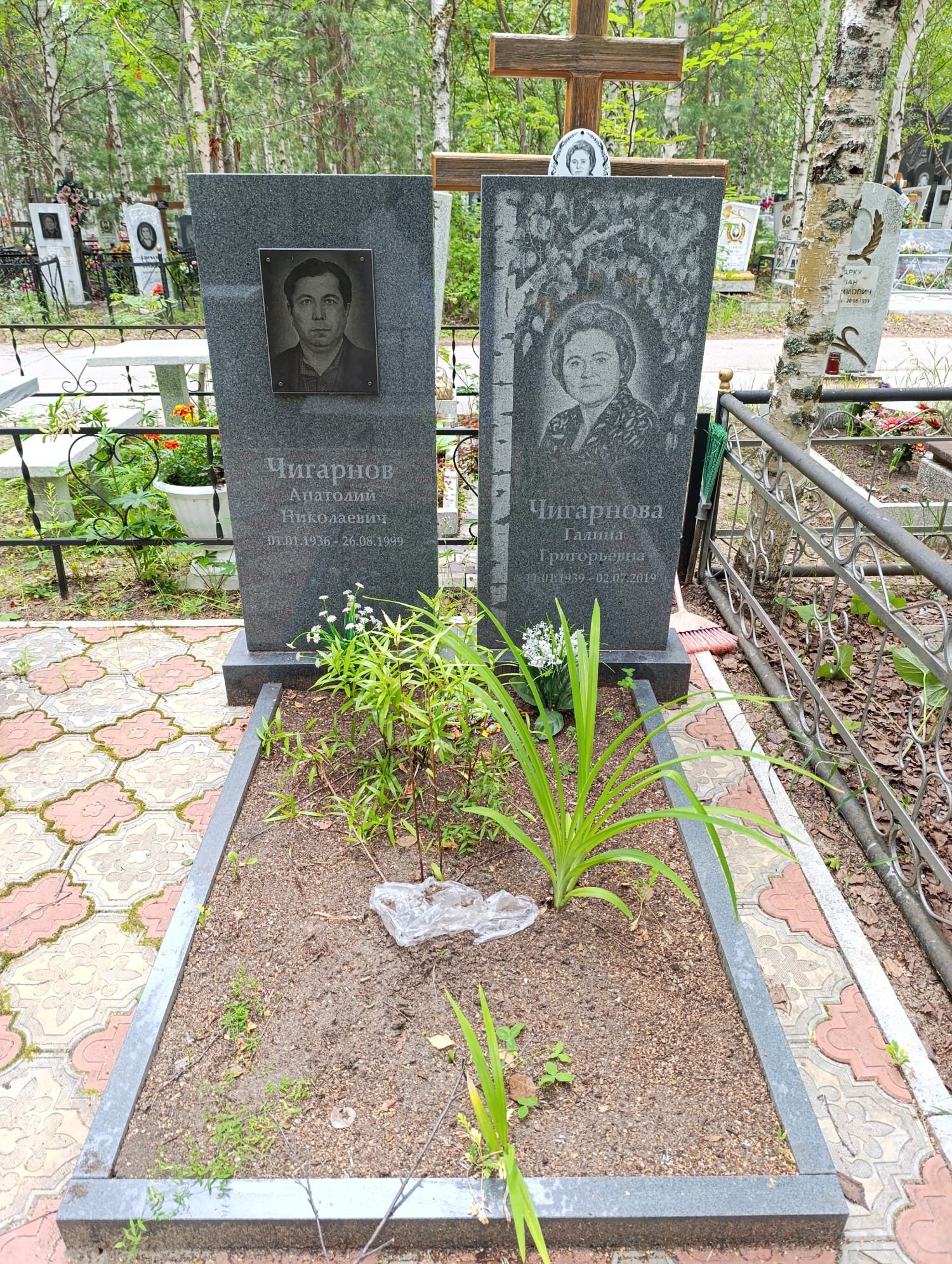 Чигарнов Анатолий Николаевич