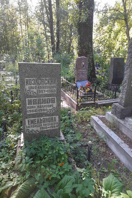 Емельянова Александра Николаевна