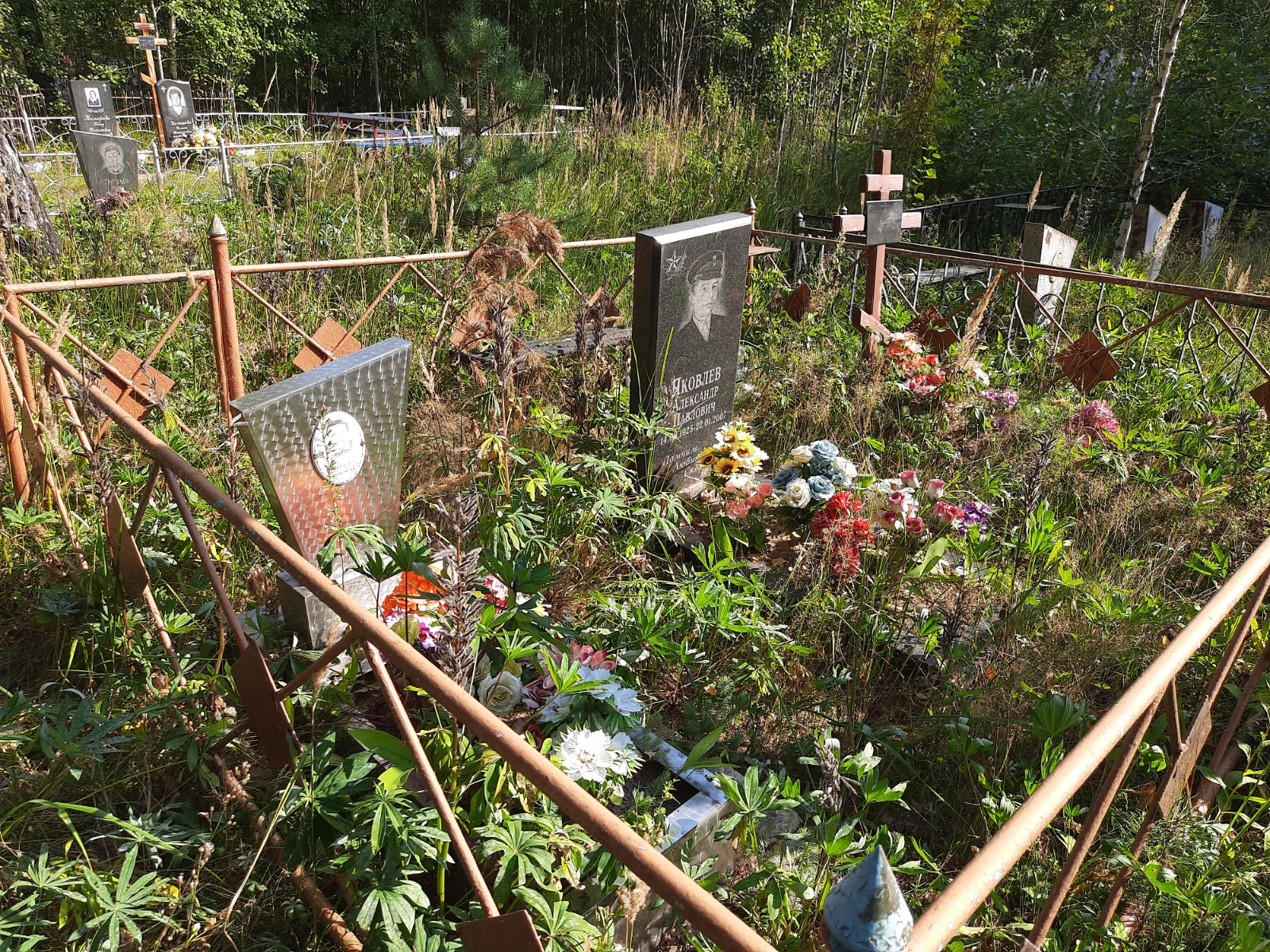 Яковлев Александр Павлович