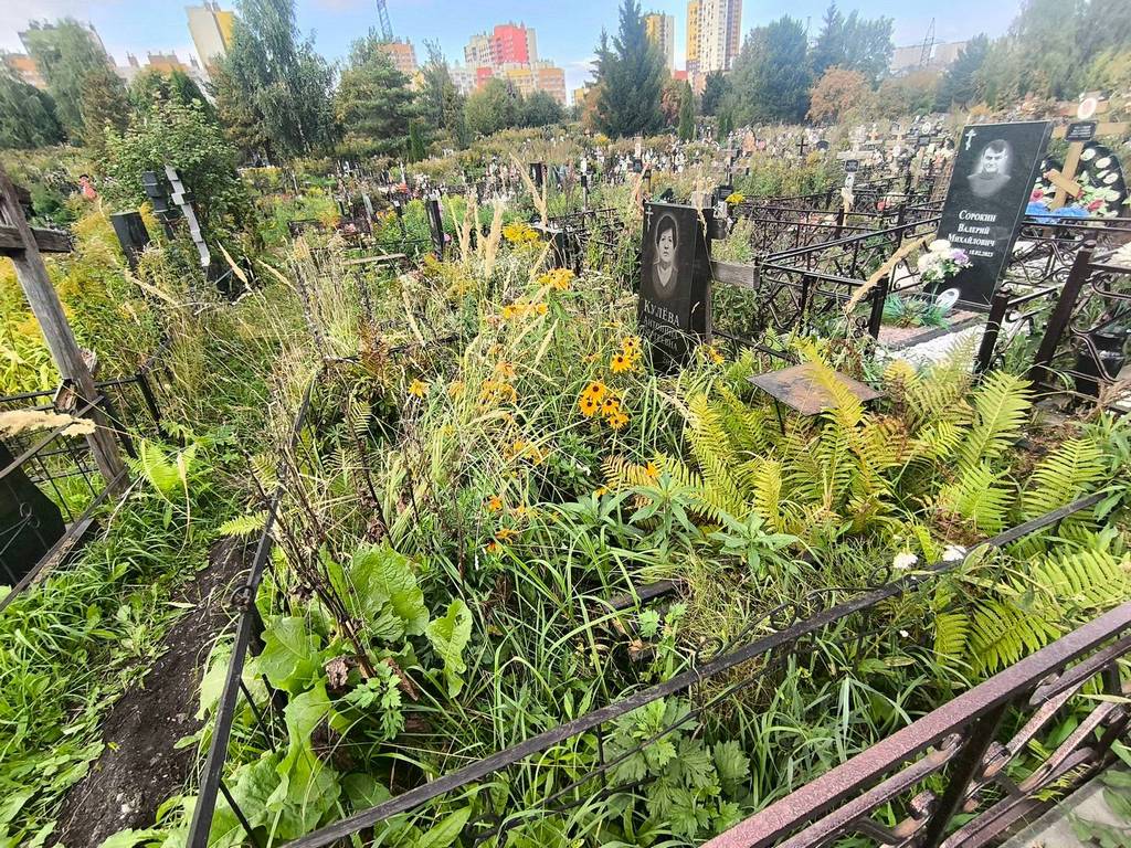 Кулева Антонина Сергеевна