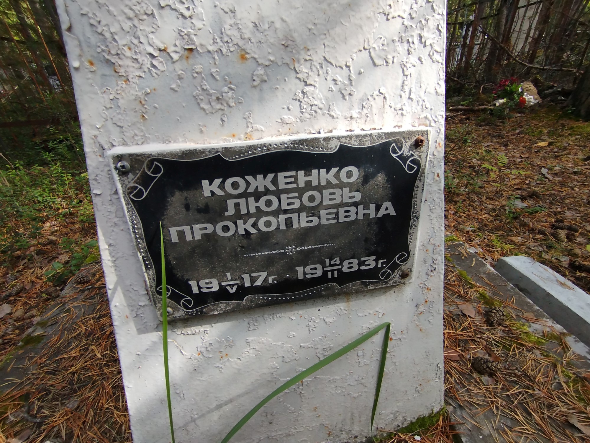 Коженко Любовь Прокопьевна