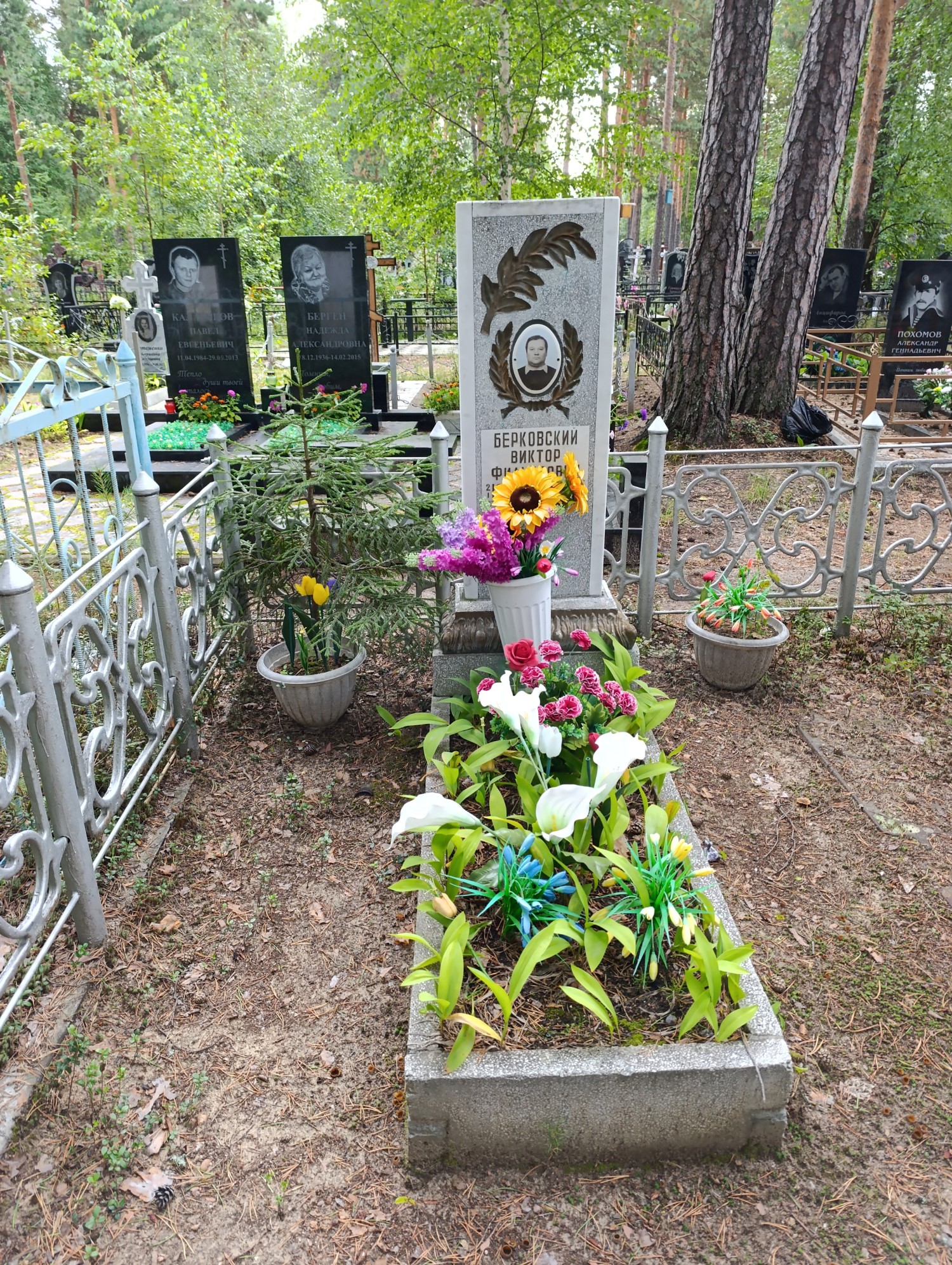 Берковский Виктор Филиппович