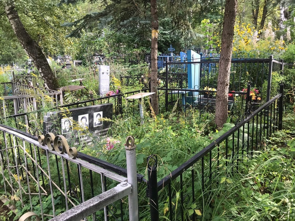 Шапошников Андрей Юрьевич