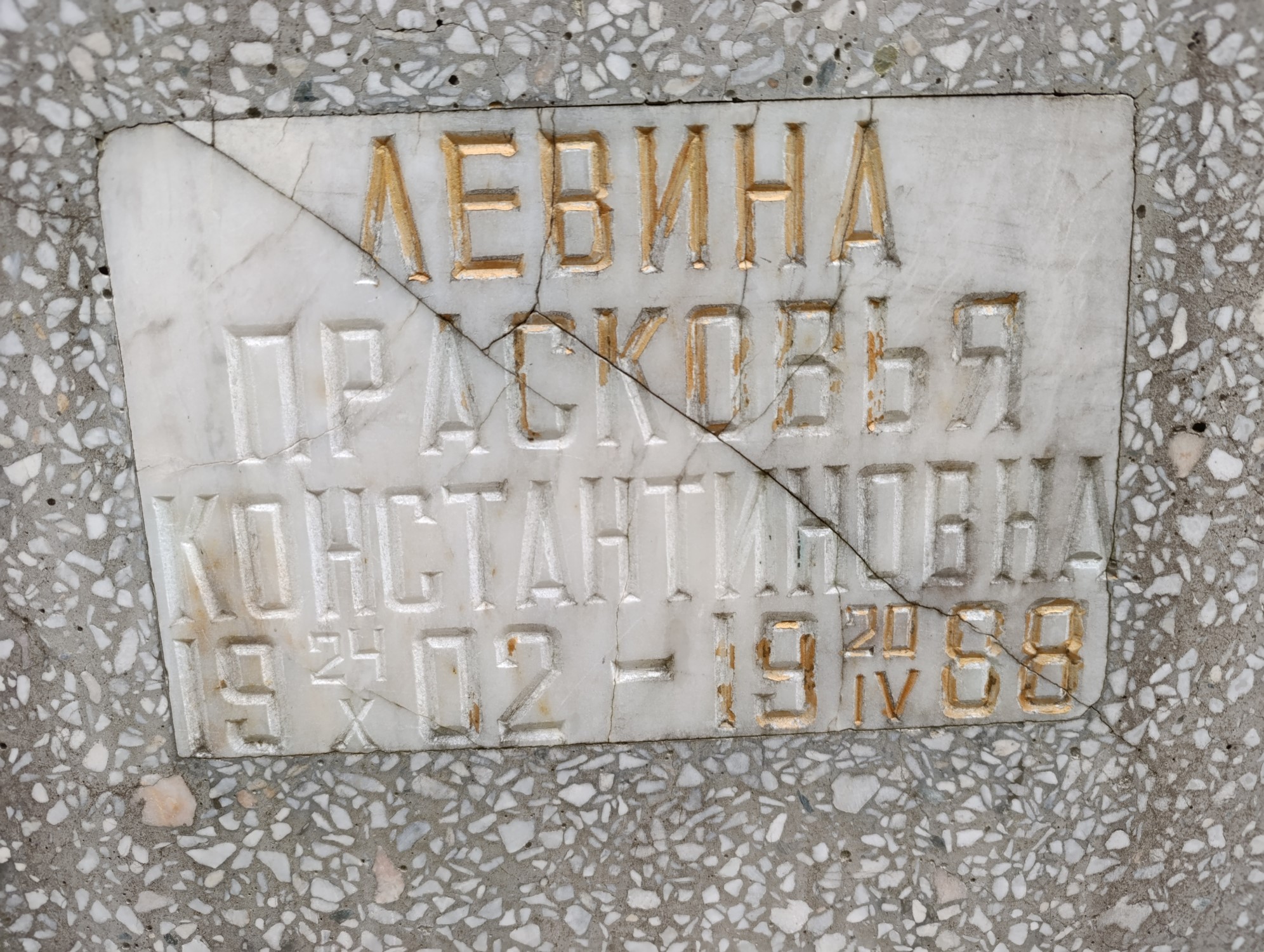 Левина Прасковья Константиновна