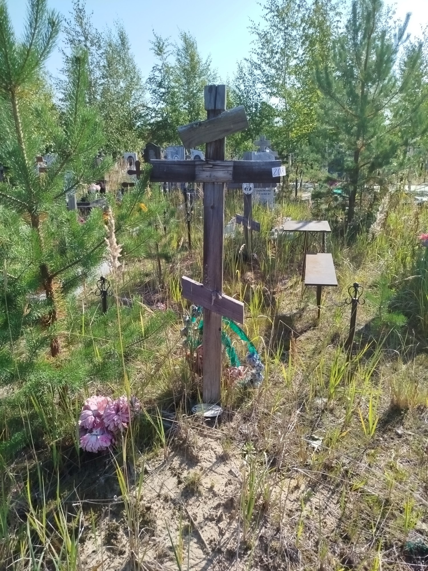Письменская Елена Владимировна