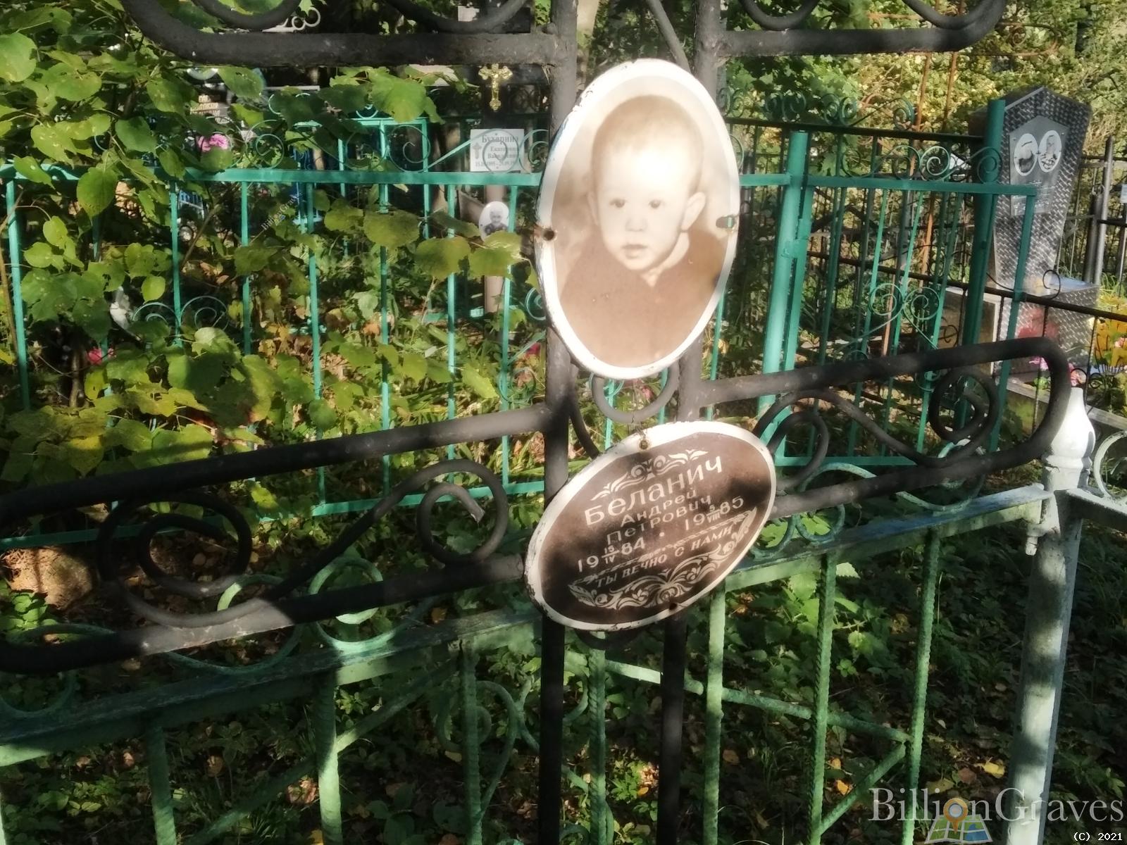 Беланич Андрей Петрович