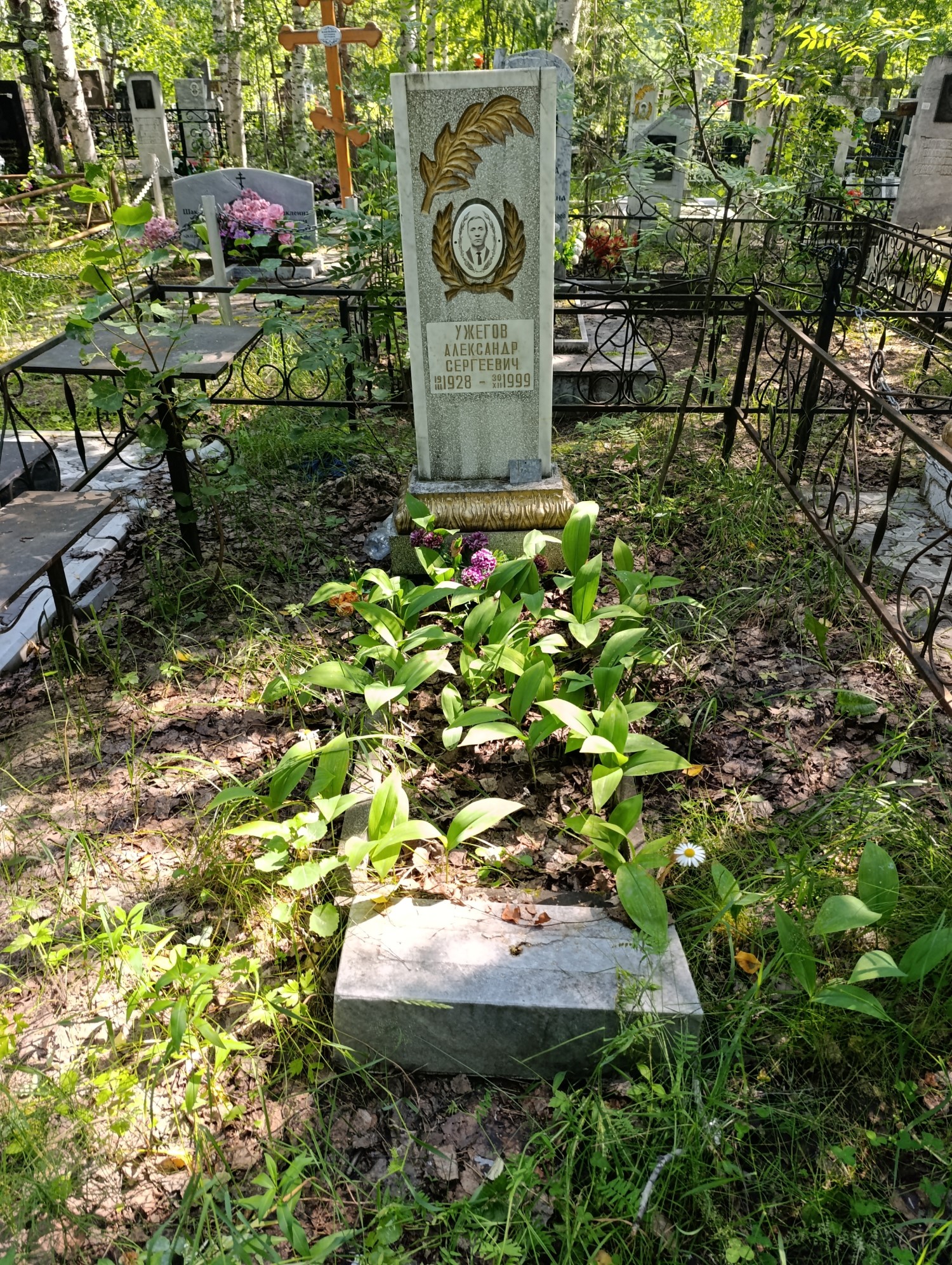Ужегов Александр Сергеевич