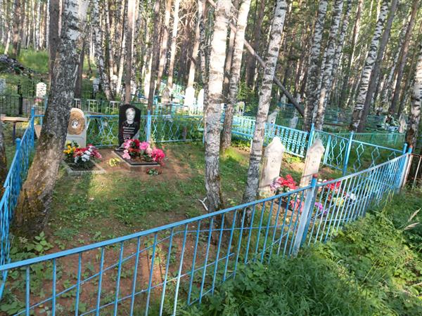 Метелкина Александра Анатольевна