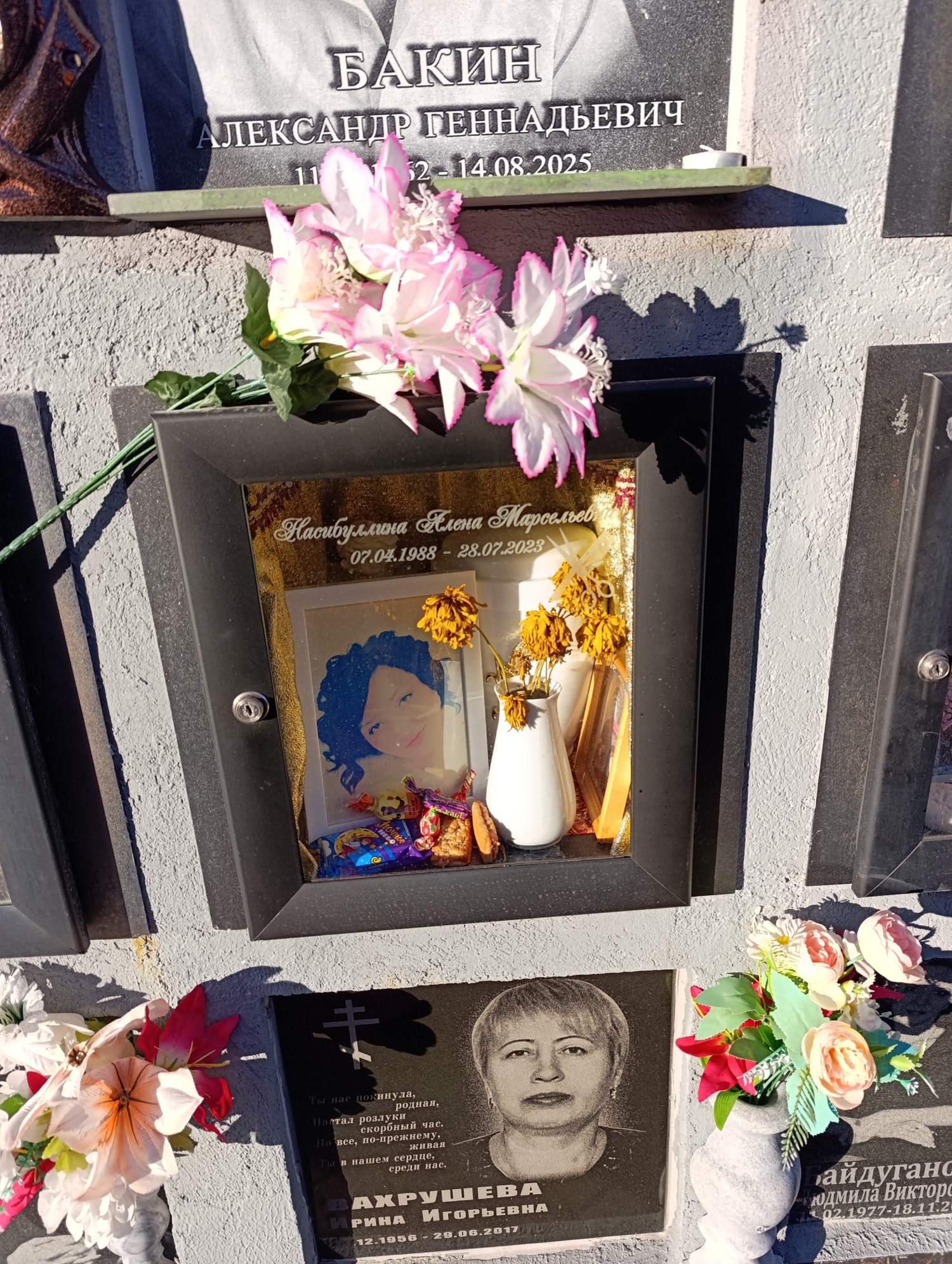 Насибуллина Алена Марсельевна