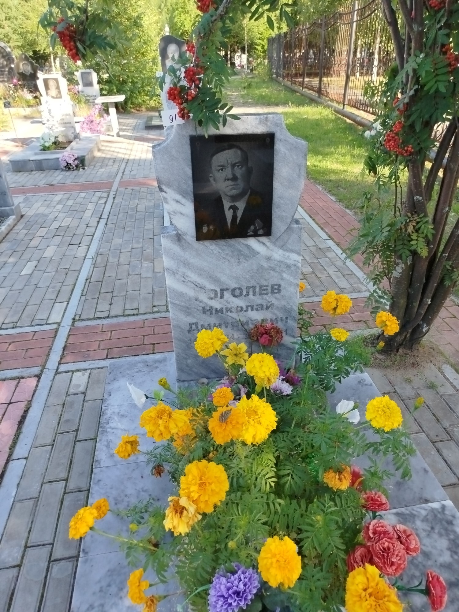 Гоголев Николай Дмитриевич