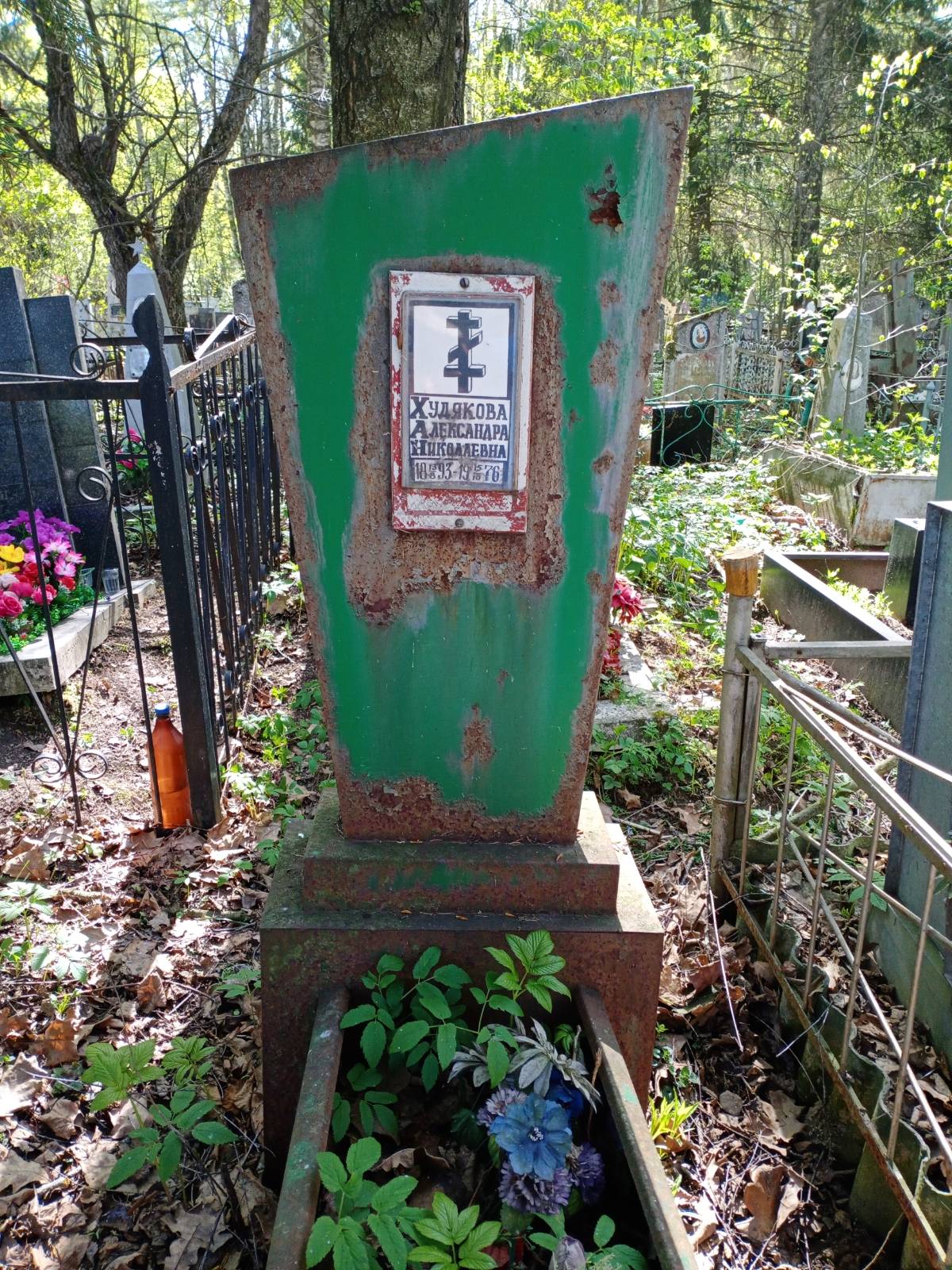 Худякова Александра Николаевна