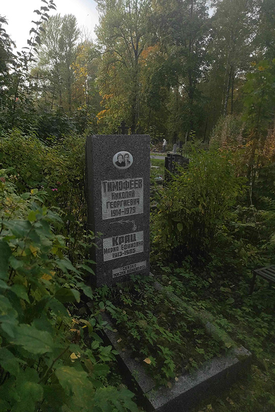 Тимофеев Николай Георгиевич